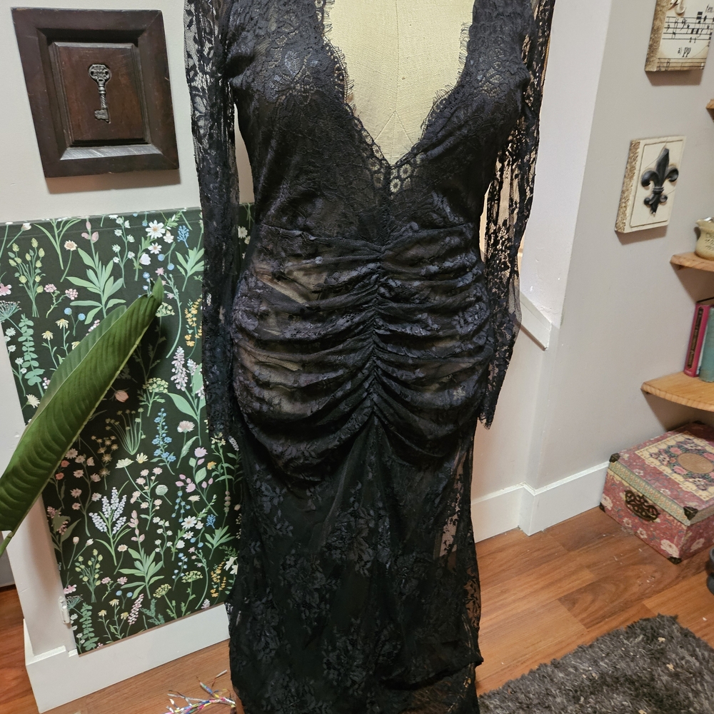 Fashion Nova Black Long Sleeve Mesh And Lace Plunge Gown